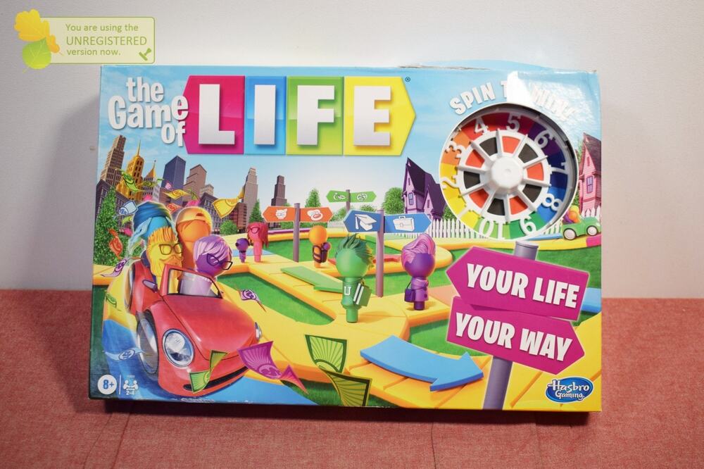 The Game of Life Board Game